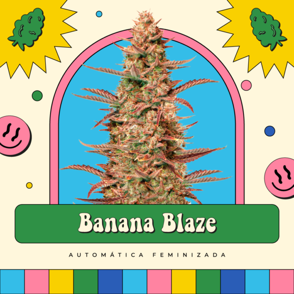 Banana Blaze - Automática