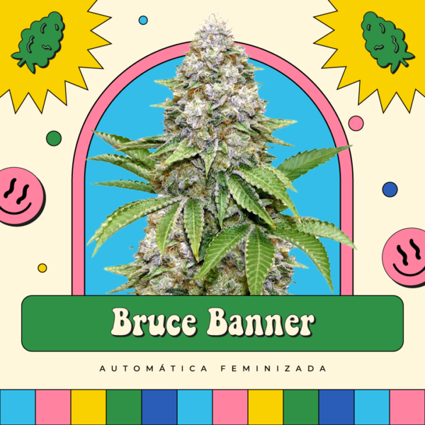 Bruce Banner - Automática