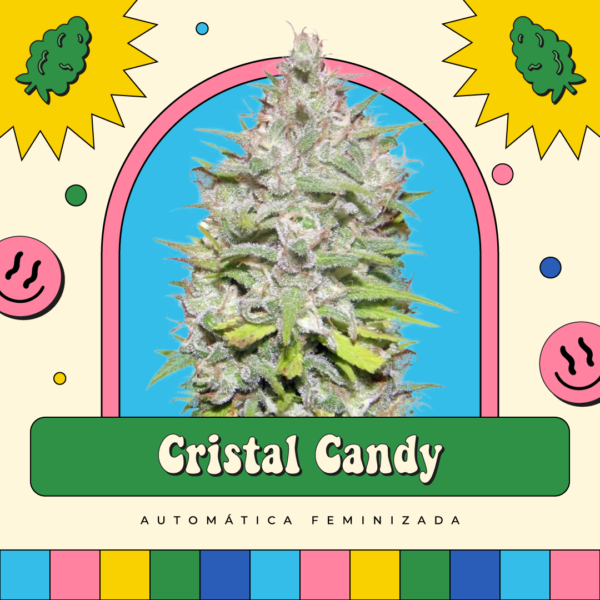 Cristal Candy - Automática