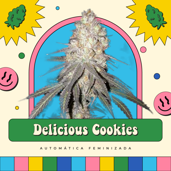 Delicious Cookies - Automática