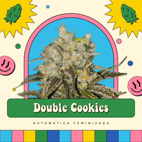 Double Cookies - Automática