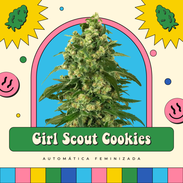 Girl Scout Cookies - Automática