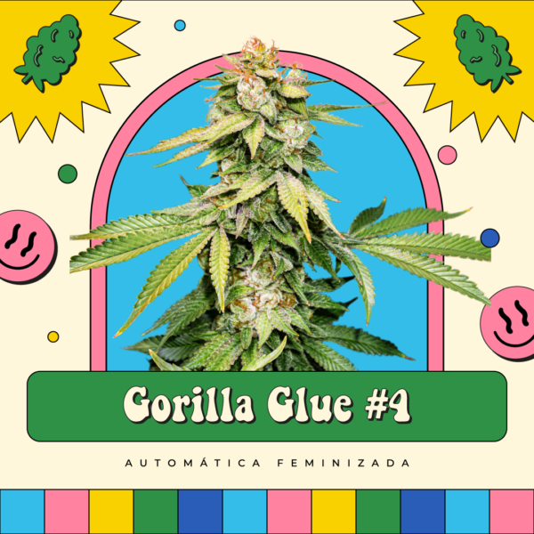 Gorilla Glue #4 - Automática