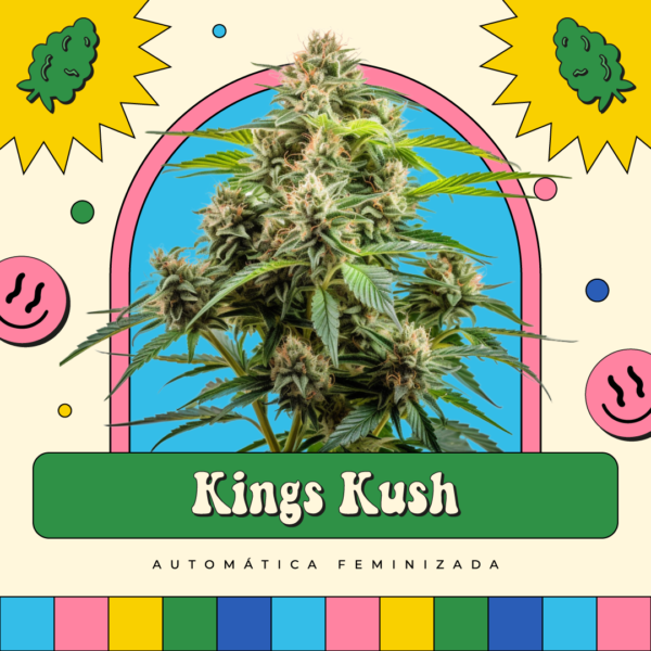 Kings Kush - Automática