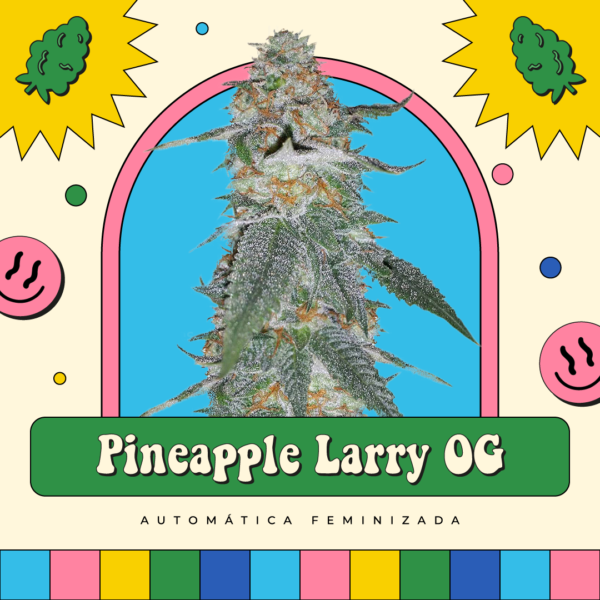 Pineapple Larry OG - Automática