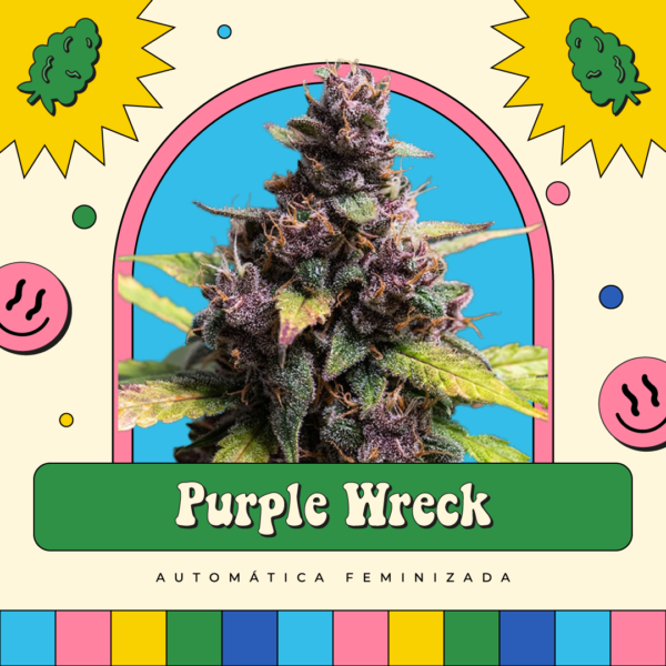 Purple Wreck - Automática