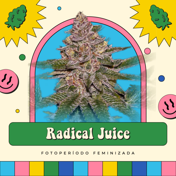 Radical Juice - Fotoperíodo