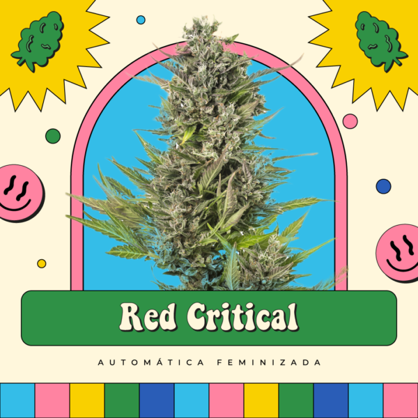 Red Critical - Automática