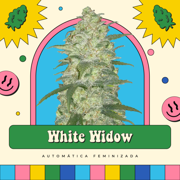 White Widow - Automática