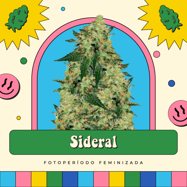 Sideral - Fotoperíodo