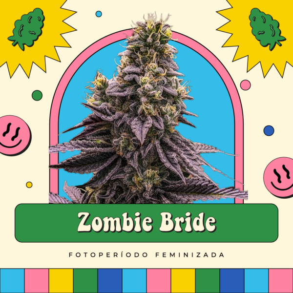 Zombie Bride - Fotoperíodo