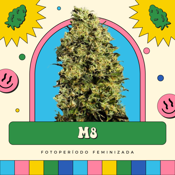 M8 - Fotoperíodo