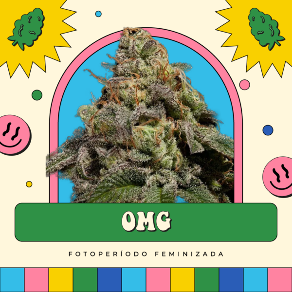 OMG - Fotoperíodo