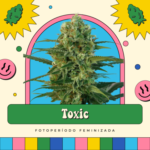 Toxic - Fotoperíodo