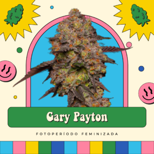 Gary Payton - Fotoperíodo