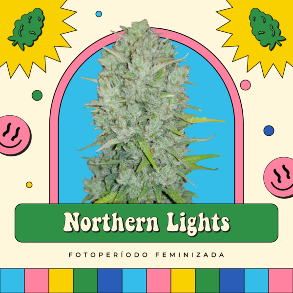Northern Lights - Fotoperíodo