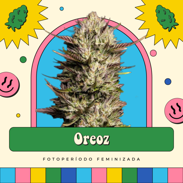 Oreoz - Fotoperíodo