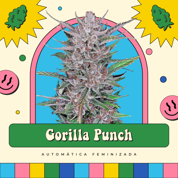 Gorilla Punch - Automática