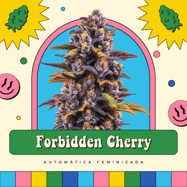 Forbidden Cherry - Automática