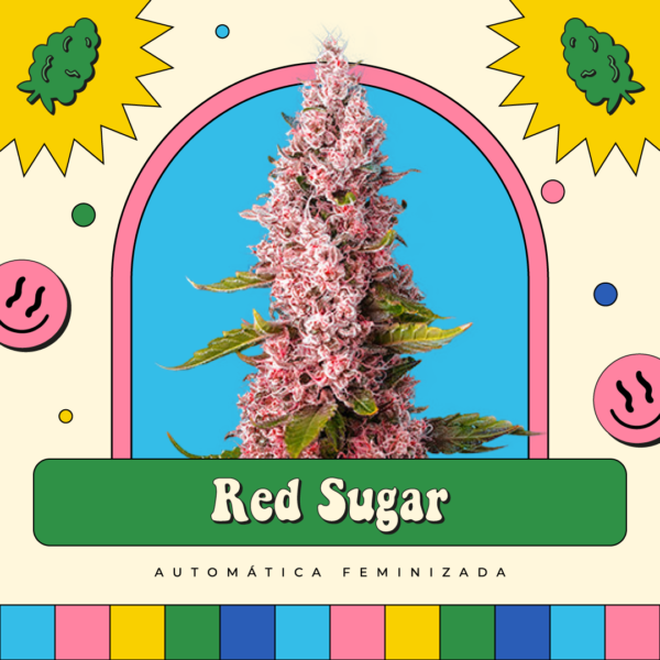 Red Sugar - Automática