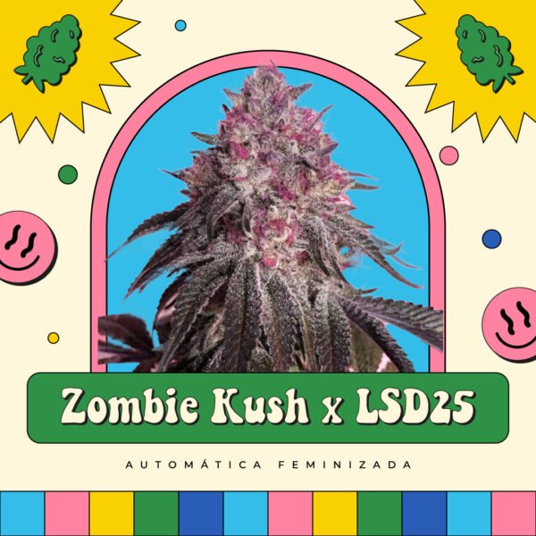 Zombie Kush x LSD25 - Automática