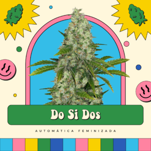 Do Si Dos - Automática