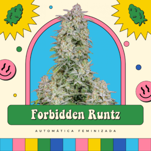 Forbidden Runtz - Automática