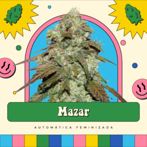 Mazar - Automática