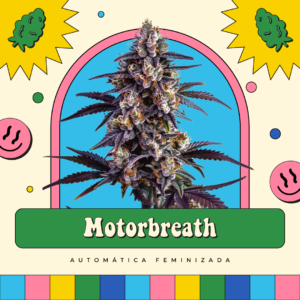 Motorbreath - Automática