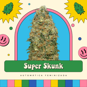 Super Skunk - Automática