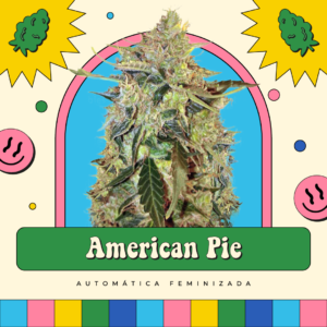 American Pie - Automática