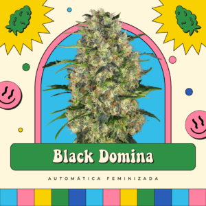 Black Domina - Automática
