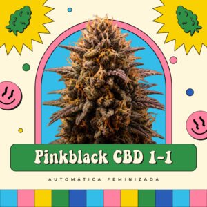 PinkBlack CBD 1-1 - Automática