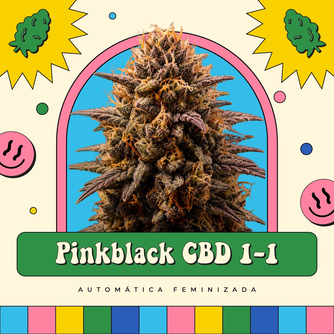 Cbd 1