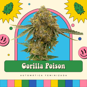 Gorilla Poison - Automática