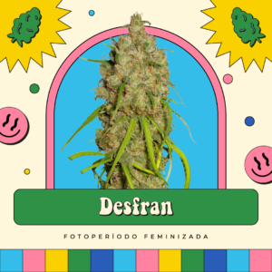 Desfran - Fotoperíodo