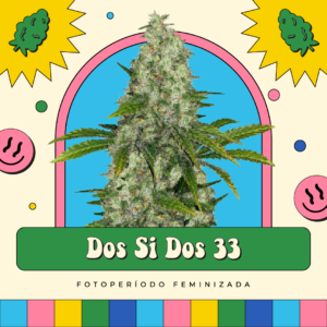 Do Si Dos 33 - Fotoperíodo