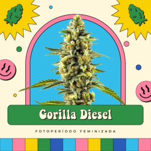 Gorilla Diesel - Fotoperíodo