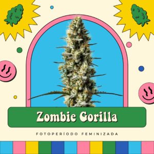 Zombie Gorilla - Fotoperíodo