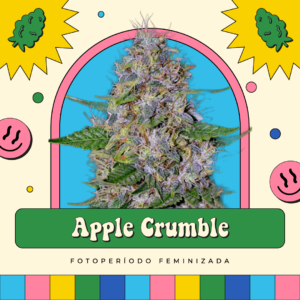 Apple Crumble - Fotoperíodo