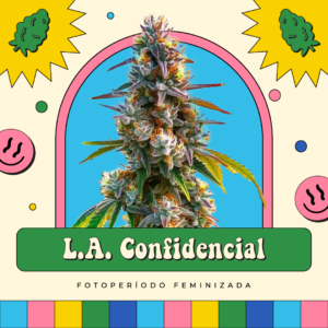 L.A. Confidencial - Fotoperíodo