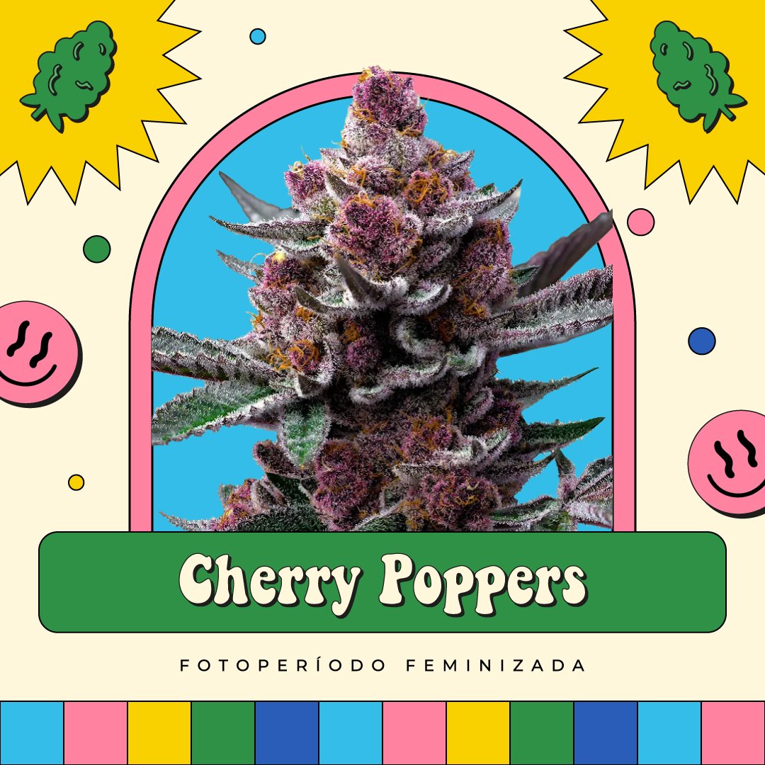 Cherry Poppers  – Fotoperíodo
