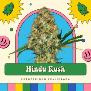 Hindu Kush - Fotoperíodo